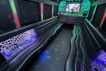 Athens Limo Bus Interior