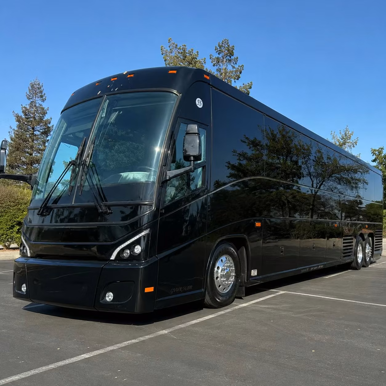 uga bulldogs fan travel and georgia bulldog road trip transportation
